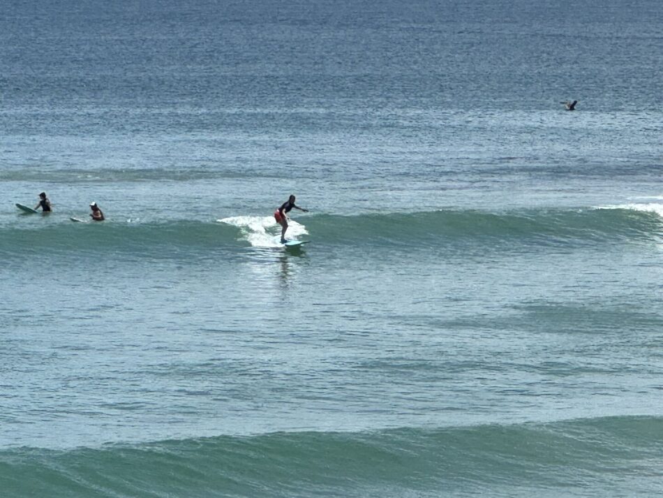Surfing
